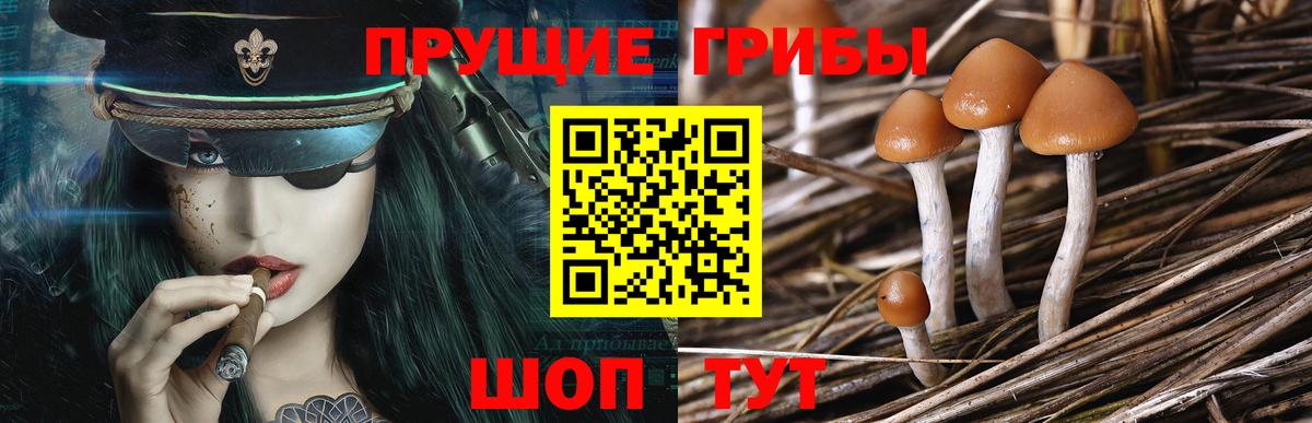 Галлюциногенные грибы Magic Shrooms  Вход с VPN  Кумертау  Галлюциногенные грибы Cubensis 